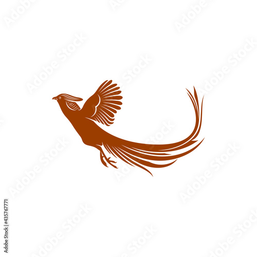 Gold Pheasant design vector illustration, Creative Gold Pheasant logo design concept template, symbols icons