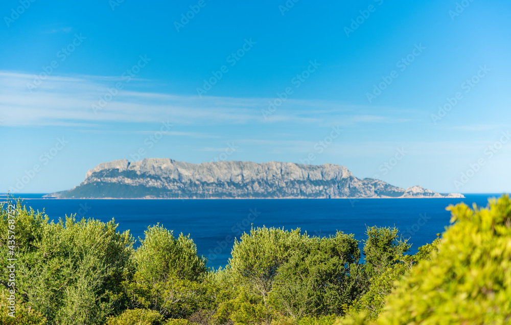 (Selective focus) Stunning view of a green vegetation in the foreground and defocused Tavolara Island in the distance. Tavolara is a small island off the northeast coast of Sardinia, Italy.