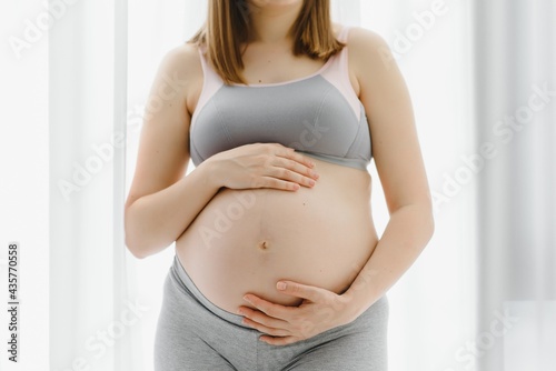 Young beautiful pregnant woman standing at home near the window. Free Download Young beautiful pregnant woman standing at home near the window. - GFXLoad