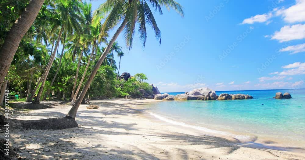 beach and coconut palm trees. Koh Tao, Thailand
