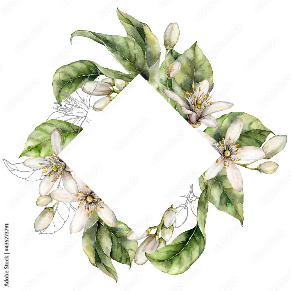 Fototapeta premium Watercolor rhombic frame of lemon flowers and linear leaves. Hand painted tropical border of fruits isolated on white background. Spring illustration for design, print, fabric or background.