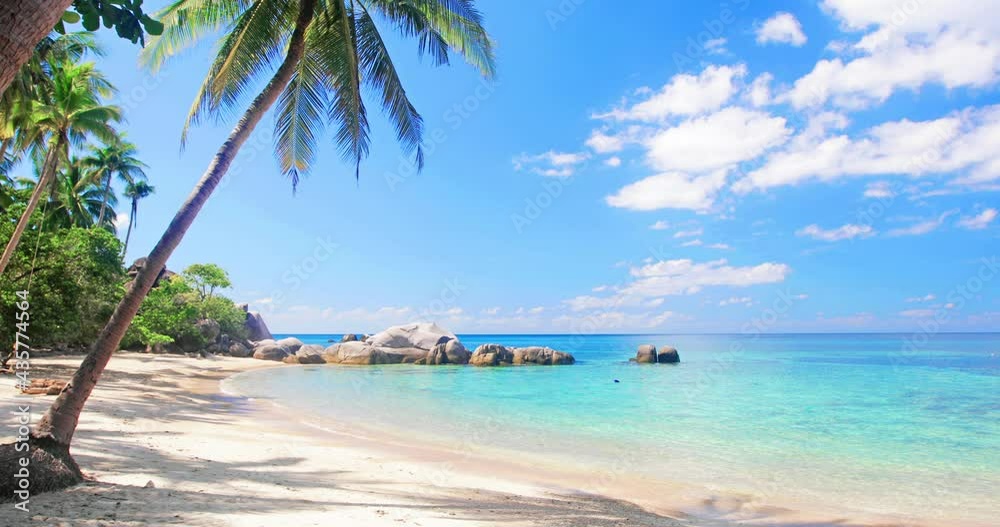 beach and coconut palm trees. Koh Tao, Thailand
