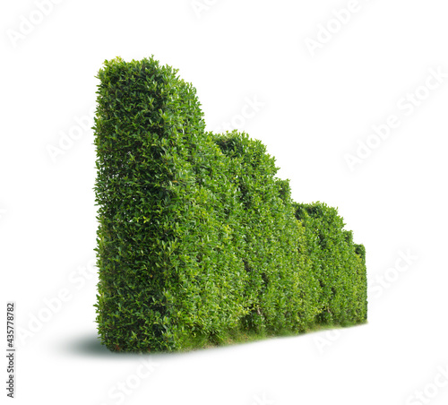 Fototapeta Naklejka Na Ścianę i Meble -  Tree fence wall isolated on white background