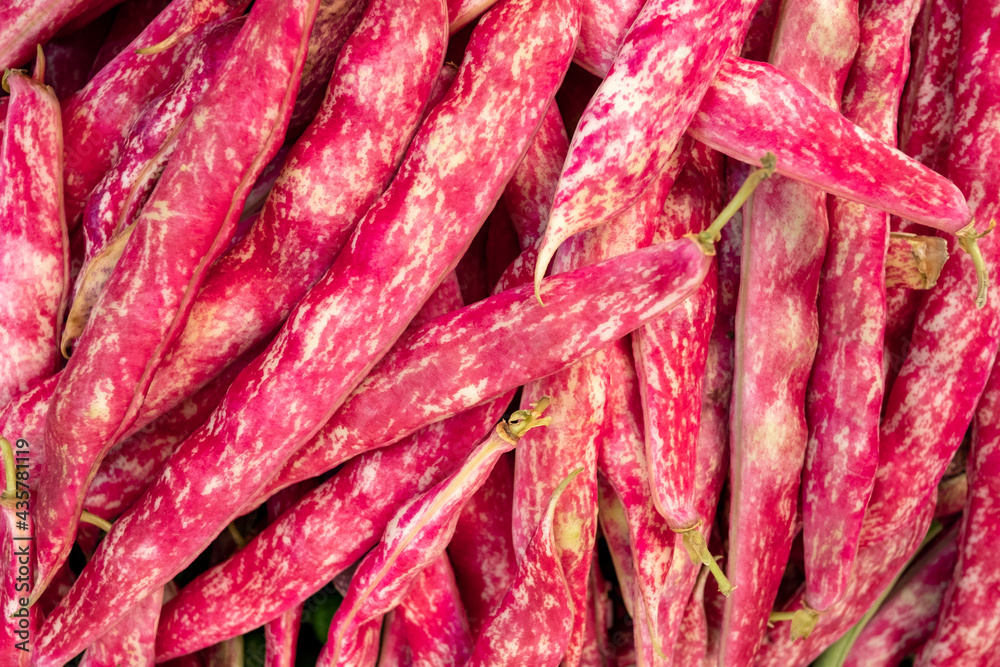 Healthy and fresh kidney beans in pods at the Farmer's market, delicious legume with high nutritional values, variety of the common bean, Phaseolus vulgaris producing the familiar kidney-shaped pulses Healthy and fresh kidney beans in pods at the Farmer's market, delicious legume with high nutritional values, variety of the common bean, Phaseolus vulgaris producing the familiar kidney-shaped pulses