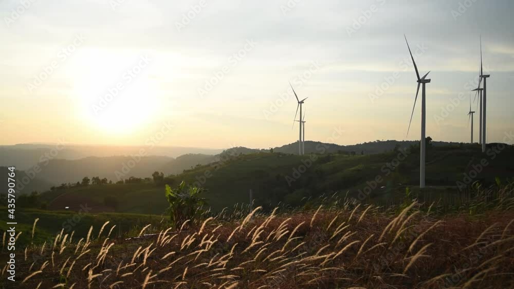 Wind farm generating green energy