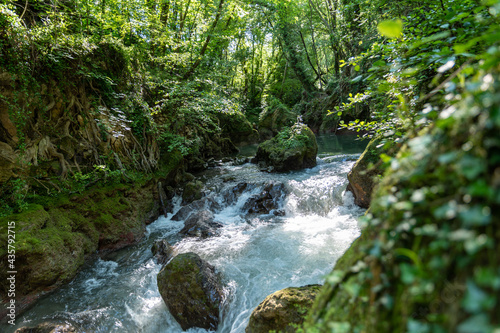 river in the woods coming from the waterfall of the marmore