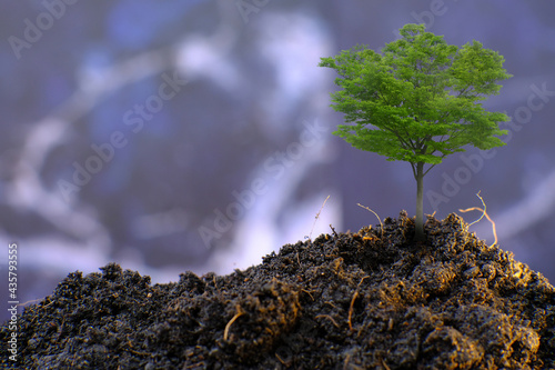 Plant trees to save environment, eco earth day concept and save world concept, World environment day concept, business eco concept