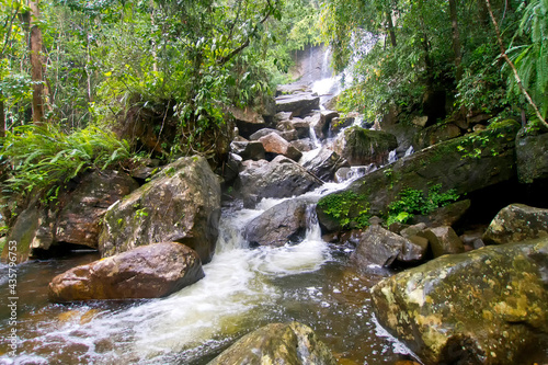 Waterfall  Sinharaja National Park Rain Forest  Sinharaja Forest Reserve  World Heritage Site  UNESCO  .Biosphere Reserve  National Wilderness Area  Sri Lanka  Asia.