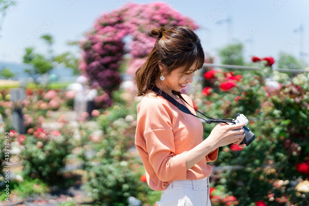 バラ園で写真を撮る女性 バラ園で写真を撮る女性