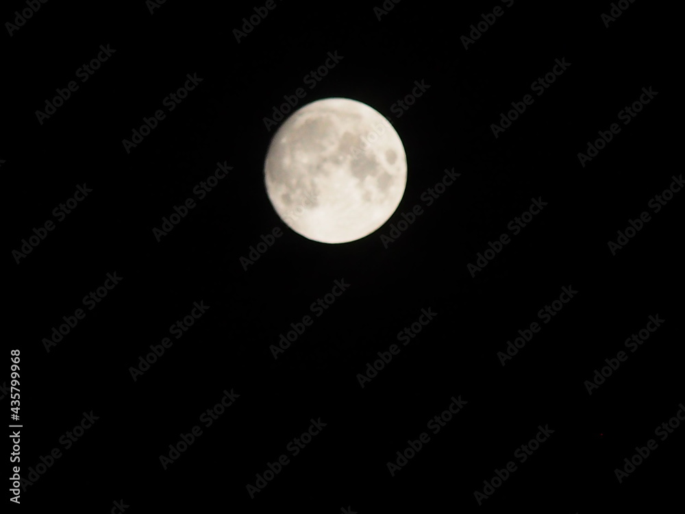 Fototapeta premium 満月に足りず