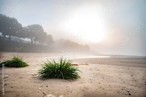 Sonnenaufgang am Wedeler Elbstrand (bei Hamburg)