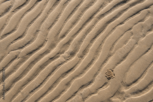 A crab's hole on sand background.