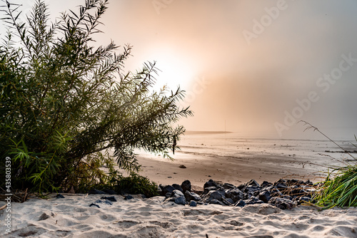 Sonnenaufgang am Wedeler Elbstrand (bei Hamburg)