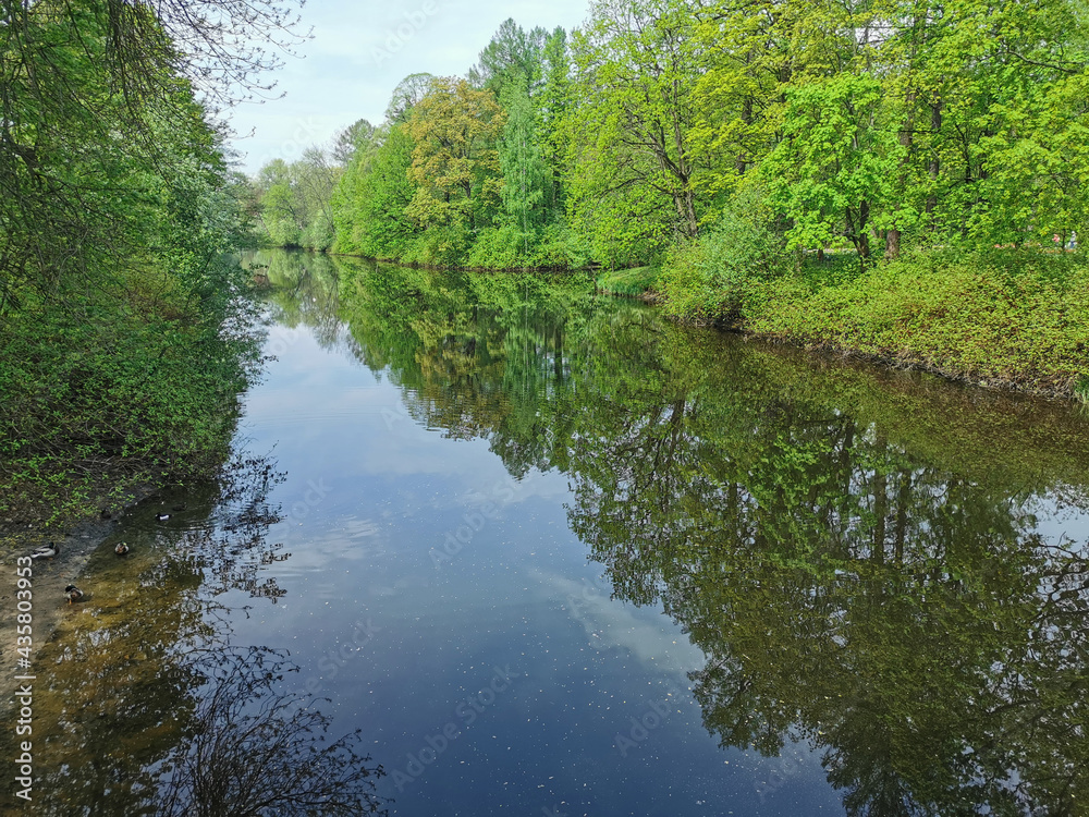 Pond among the trees on a cloudless spring day in the park on Elagin Island in St. Petersburg.