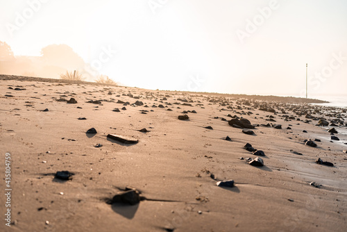 Sonnenaufgang am Wedeler Elbstrand (bei Hamburg)