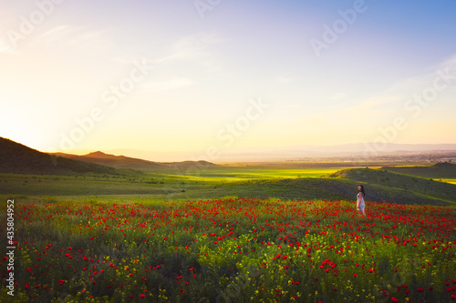 Young woman standing in Green valley and poppy field, springtime landscape in Georgia. Blank space woman wellness concept background © Evaldas