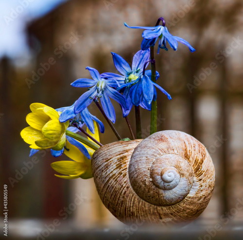 bouquet of yellow and blue flowers
