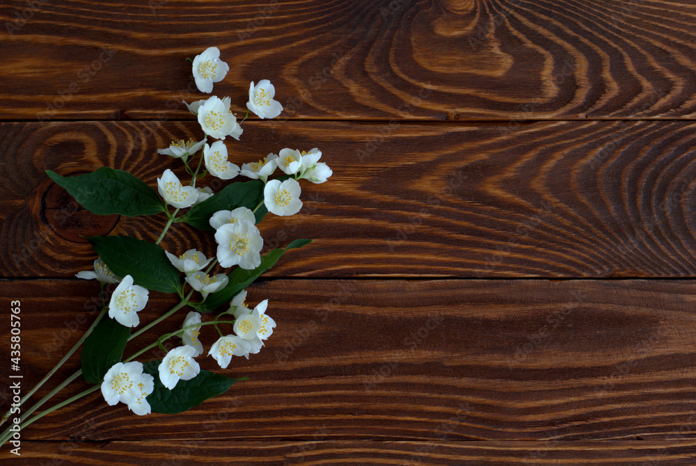 jasmine on a wooden table jasmine on a wooden table