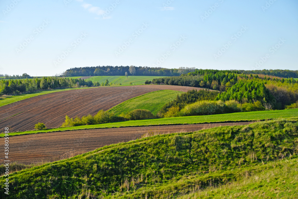 Rural landscape nature fields and meadows
