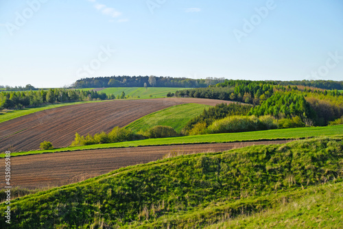 Rural landscape nature fields and meadows © karolinaklink
