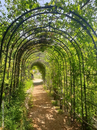 walkway in the park