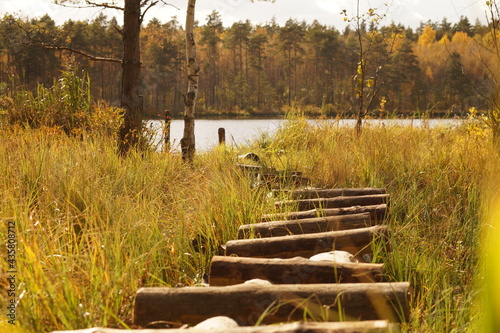 wooden bridge over the river