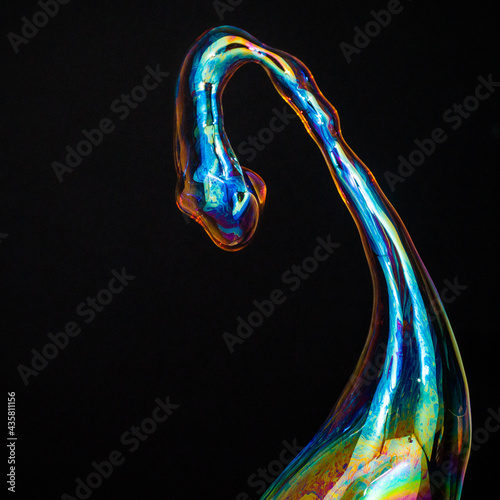 Amorphous and colorful isolated soap bubble with black background.