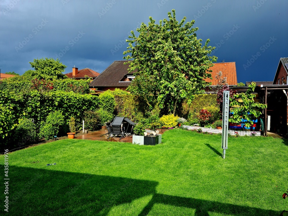 Obraz premium garden