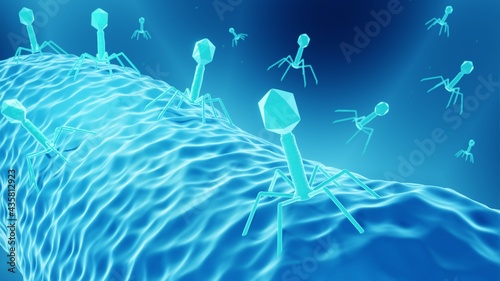 Obraz na plátně Bacteriophage therapy, Antibiotics alternative