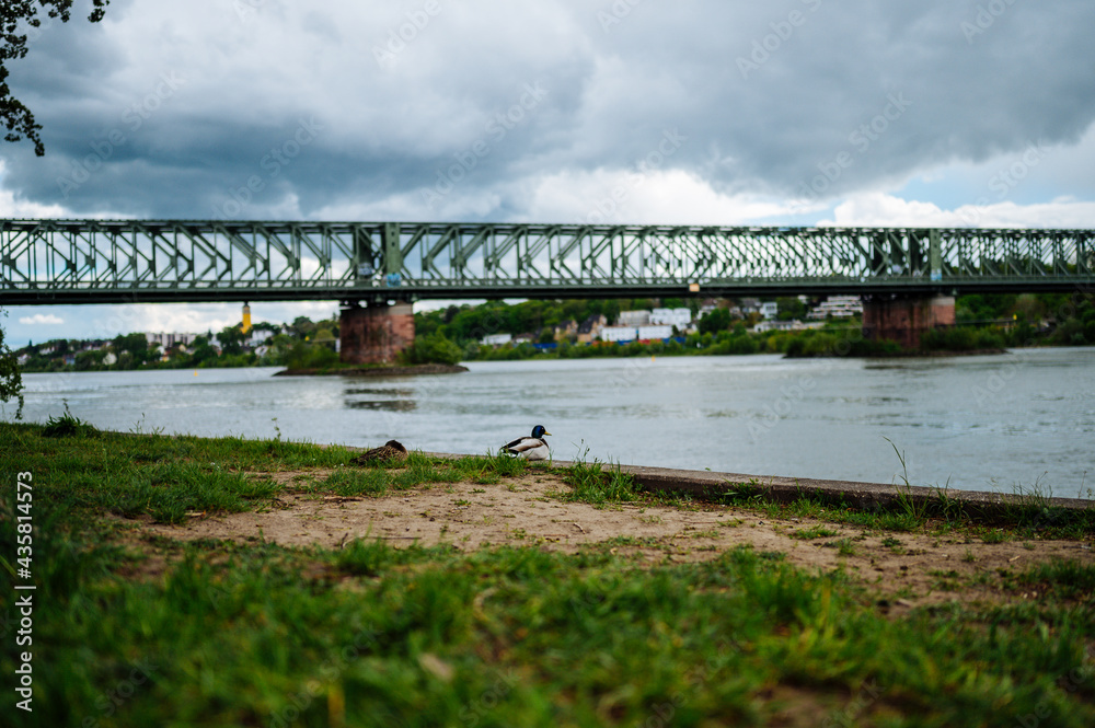 Fototapeta premium Mainz kastel