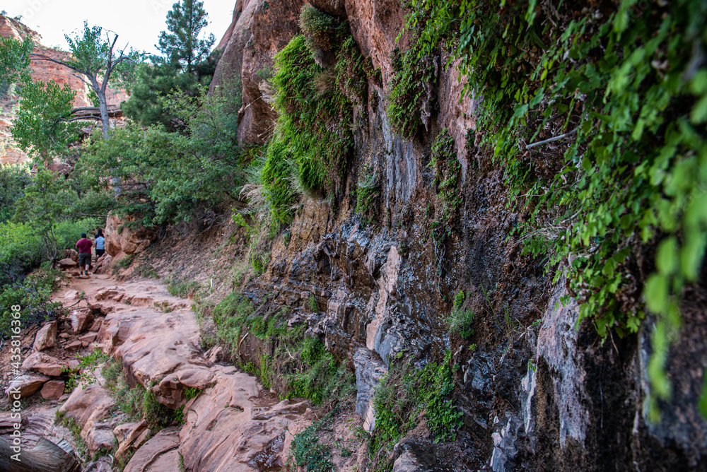Zion National Park (late summer) Zion National Park (late summer)