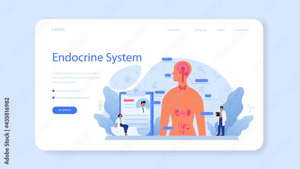 Endocrinologist web banner or landing page. Thyroid examination.