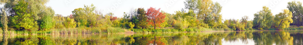 Panoramic view of the autumn forest with yellow and red foliage and a beautiful lake against the background of light sky Panoramic view of the autumn forest with yellow and red foliage and a beautiful lake against the background of light sky