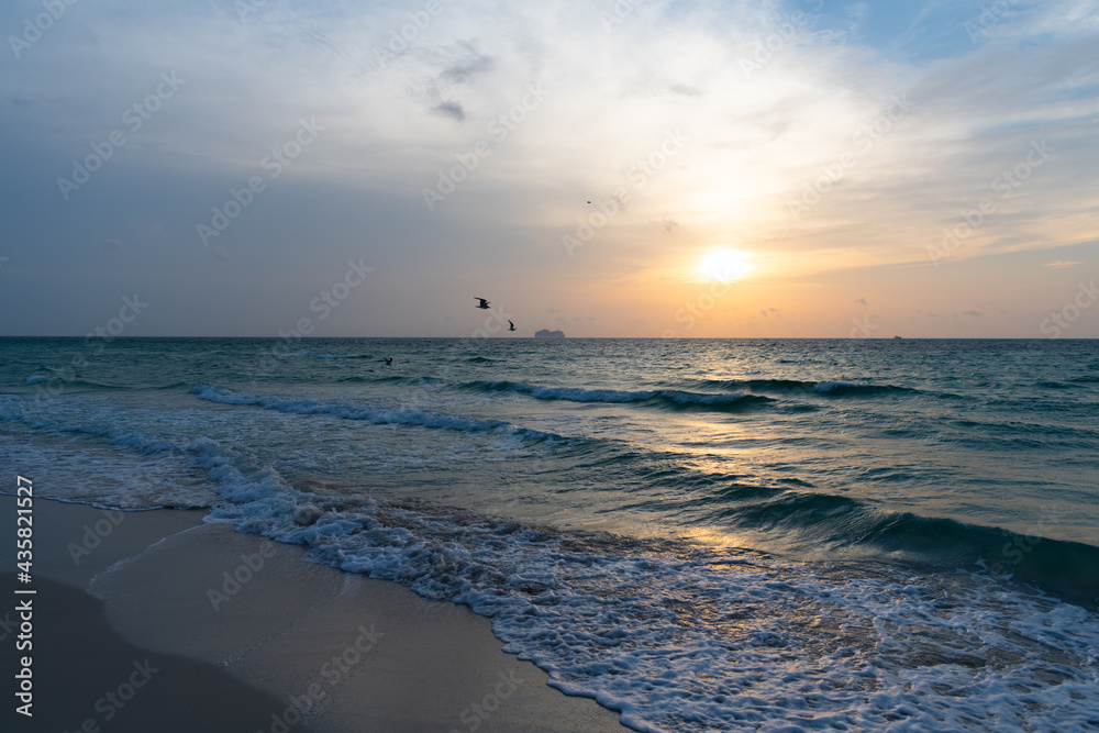sunrise in sea at miami beach with ship and seagulls on sunset sky background, beach sunset.