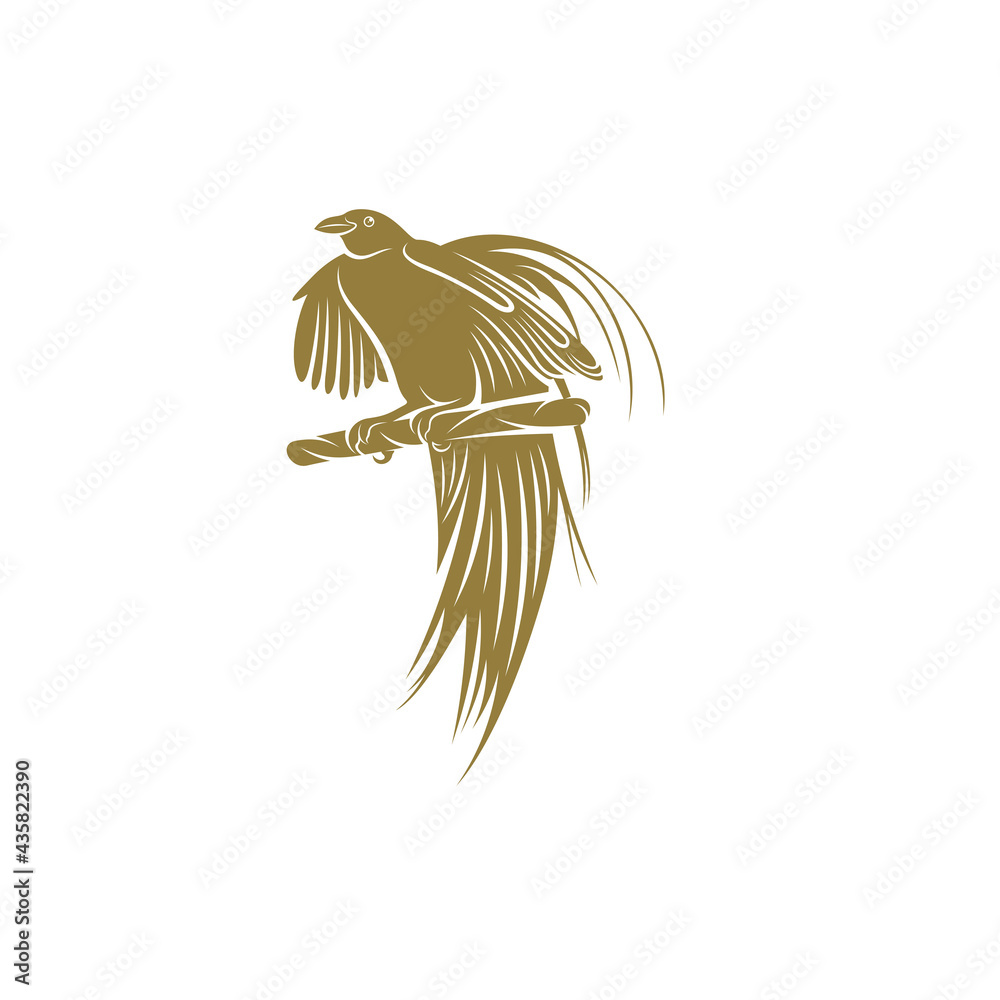 Birds of Paradise design vector illustration, Creative Birds of Paradise logo design concept template, symbols icons Birds of Paradise design vector illustration, Creative Birds of Paradise logo design concept template, symbols icons