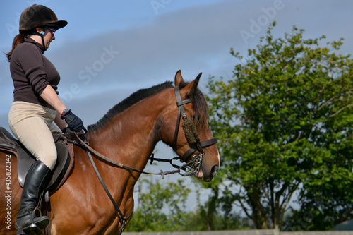 Young person riding horse against clear blue sky. 