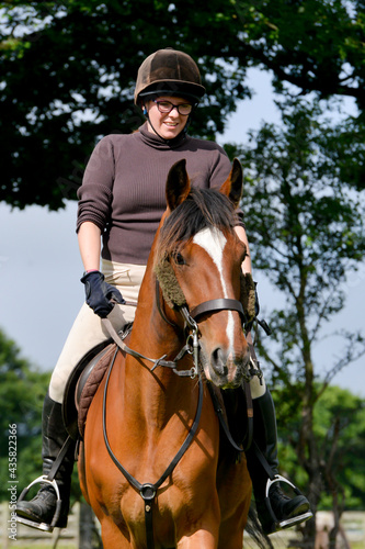 Woman riding horse in the sunshine smiling