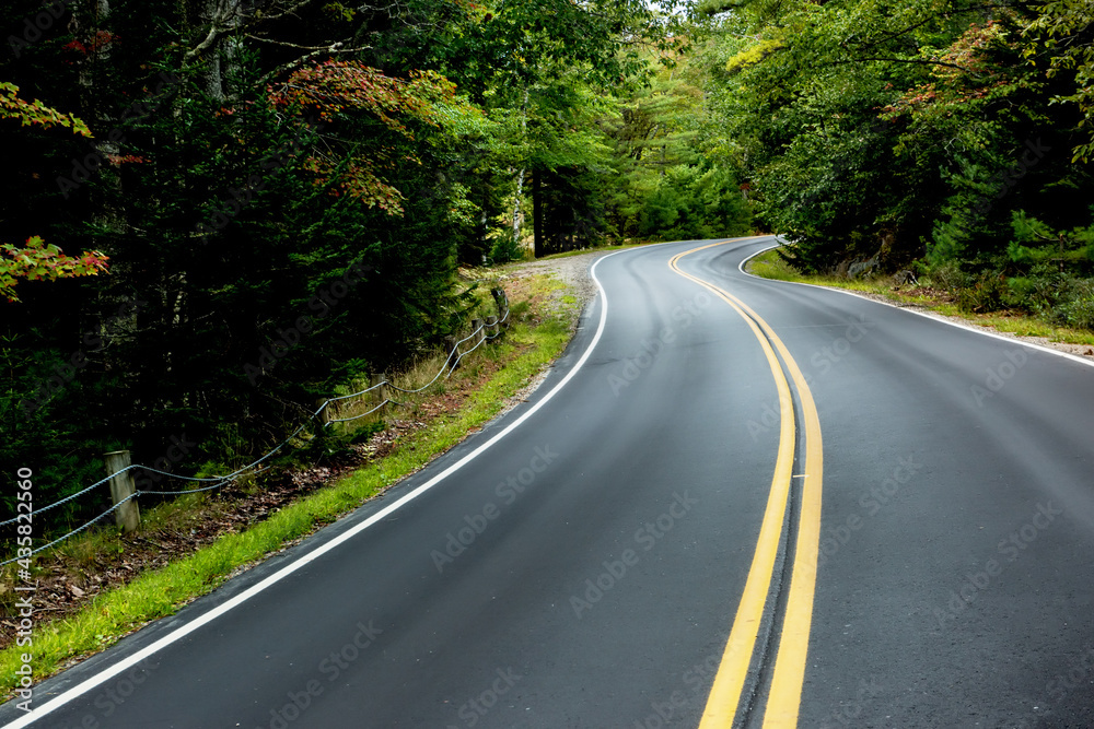Fototapeta premium A winding narrow asphalt road in the forest.