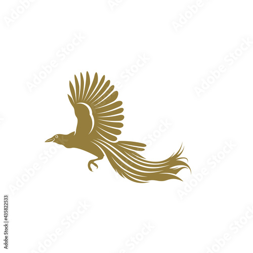 Fotografie Birds of Paradise design vector illustration, Creative Birds of Paradise logo de