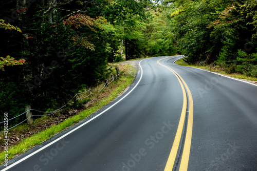 A winding narrow asphalt road in the forest.