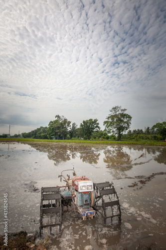 a view of the paddy field with power tiller © jack77