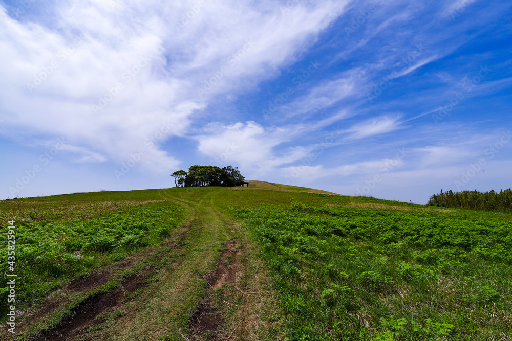 Fototapeta premium 五島列島 鬼岳