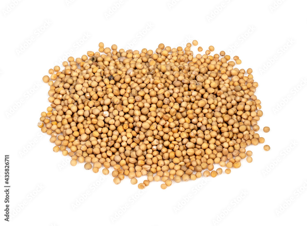 pile of white mustard seeds closeup on white pile of white mustard seeds closeup on white