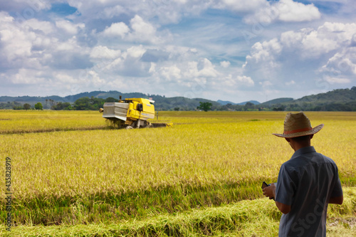 combined harvester in beautiful paddy field