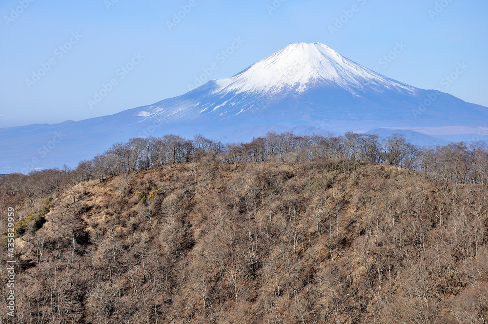 冬晴れの丹沢山地 塔ノ岳から望む富士山
