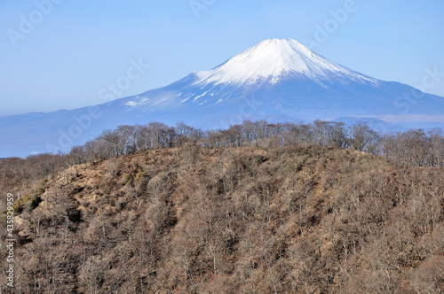 冬晴れの丹沢山地 塔ノ岳から望む富士山 