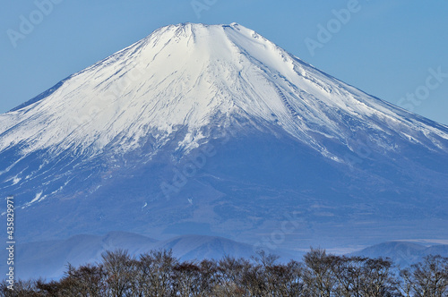 冬晴れの丹沢山地 塔ノ岳から望む富士山 