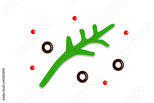 Arugula leaf, olive slices and red pepper peas. Vector illustration of seasoning.