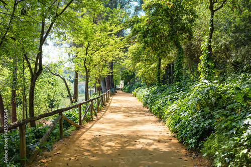 Beautiful pathway in a park with a wooden fence, shines, sunlight, green trees in spring season. Road with nobody. Hiking path in a park for recreation. Oromana park in alcala de guadaira, Seville.