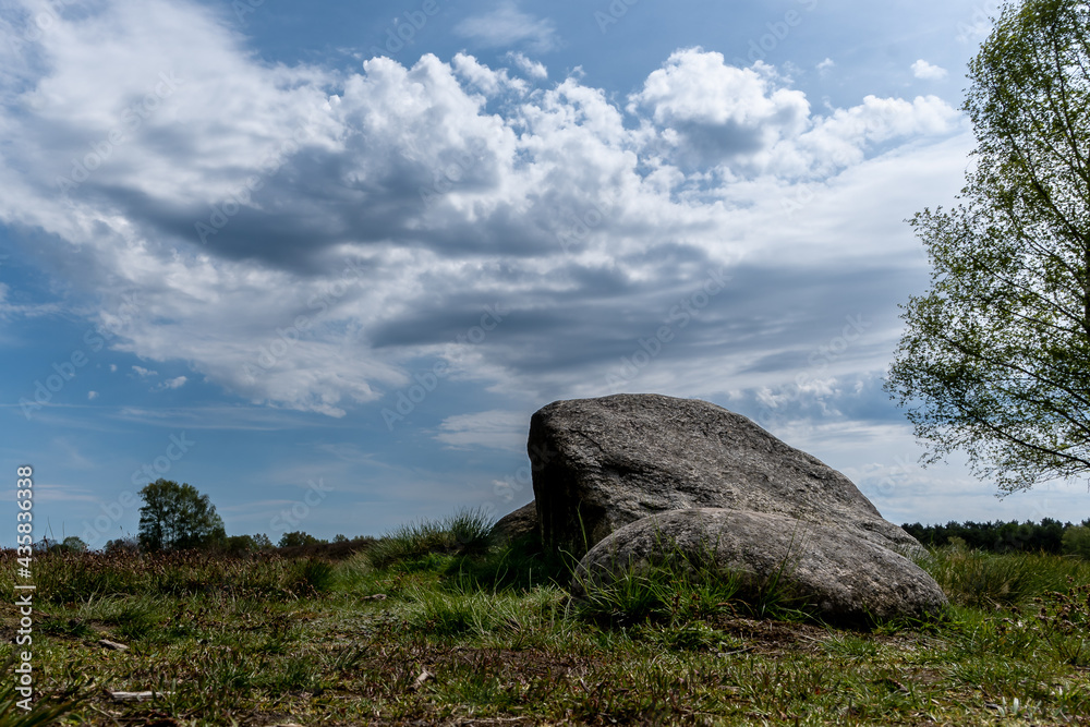 Pestruper Gräberfeld mit Felsen im Frühling. Pestruper Gräberfeld mit Felsen im Frühling.